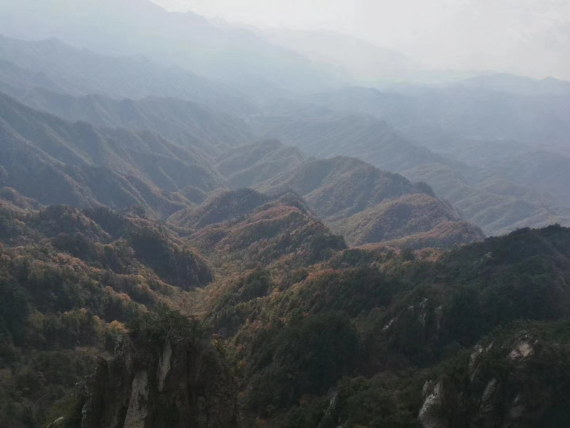 遭遇盜竊不要慌，上海經濟犯罪律師來幫忙