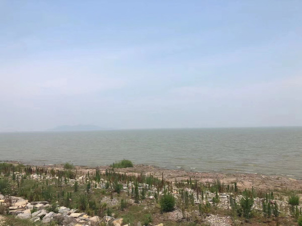 受托人將他人財產侵占怎么辦？青浦律師咨詢告訴您