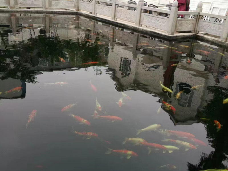 黃浦律師今天帶來的是：醫療中最常見的—非法行醫罪
