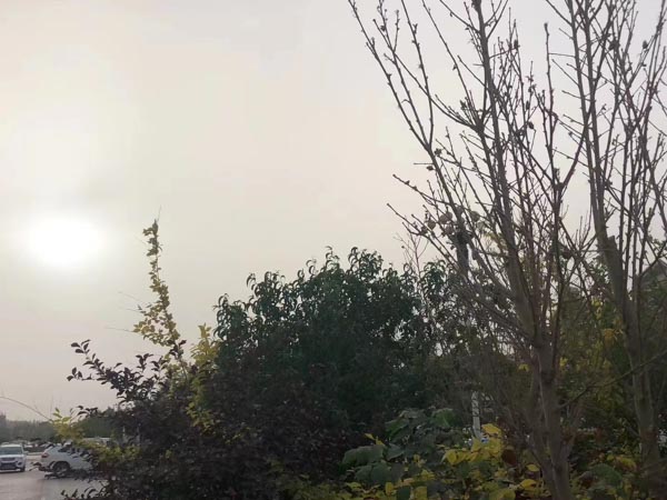 知識產權糾紛的多元解決途徑有哪些？上海正規的律師事務所帶您了解相關情況