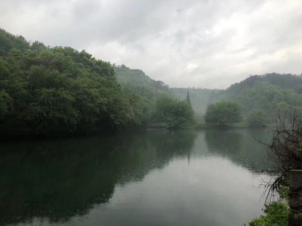 房產糾紛調解成功率有多高？上海房產律師網三招幫你化解房屋糾紛