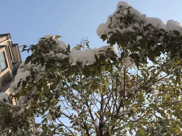 勞務(wù)合同糾紛起訴需要符合哪些條件？上海合同爭(zhēng)議律師來回答