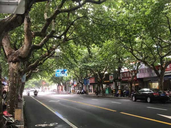 上海刑事大律師帶您了解醉駕型危險駕駛罪中自首認定常見問題