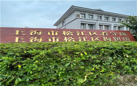 金山區(qū)法律援助答路邊綠化樹倒下砸傷人該找誰負責