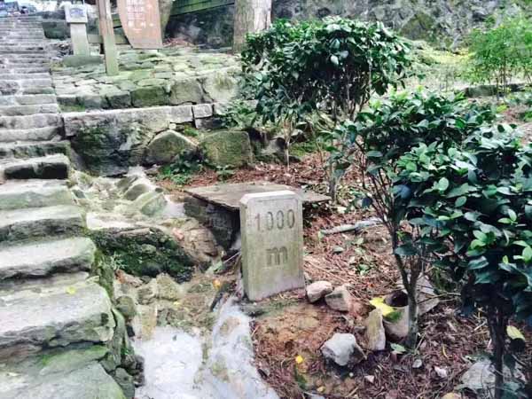 產生交通事故怎么賠償？靜安律師為您講解