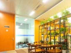 <b>閔行區(qū)律師視角：民用航空器造成他人損害的侵權(quán)責(zé)任承擔(dān)探究</b>